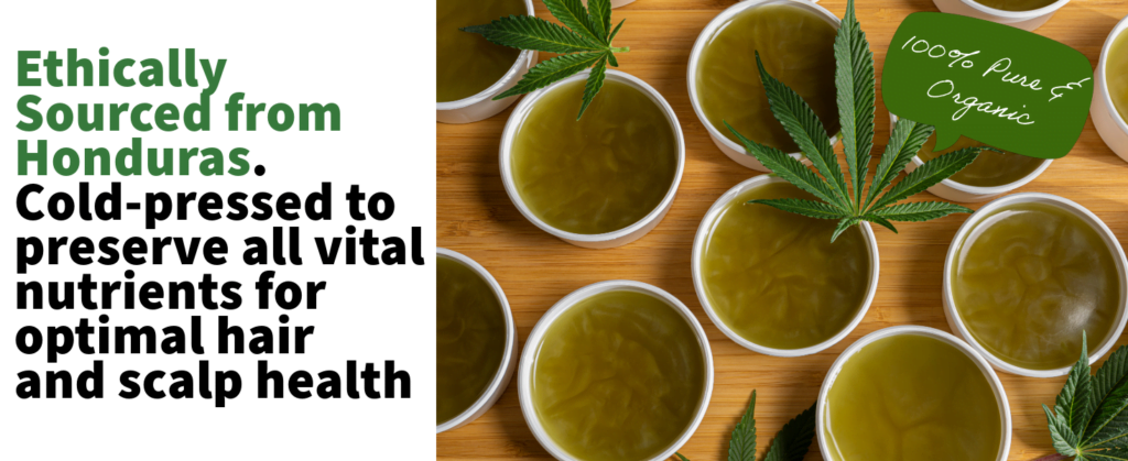 batana oil batana oil for hair batana oil for hair growth batana oil hair growth dr truth batana oil batana oil benefits batana oil near me dr sebi batana oil doctortruth batana oil batana oil dr sebi batana oil for hair loss organic batana oil batana oil dr truth