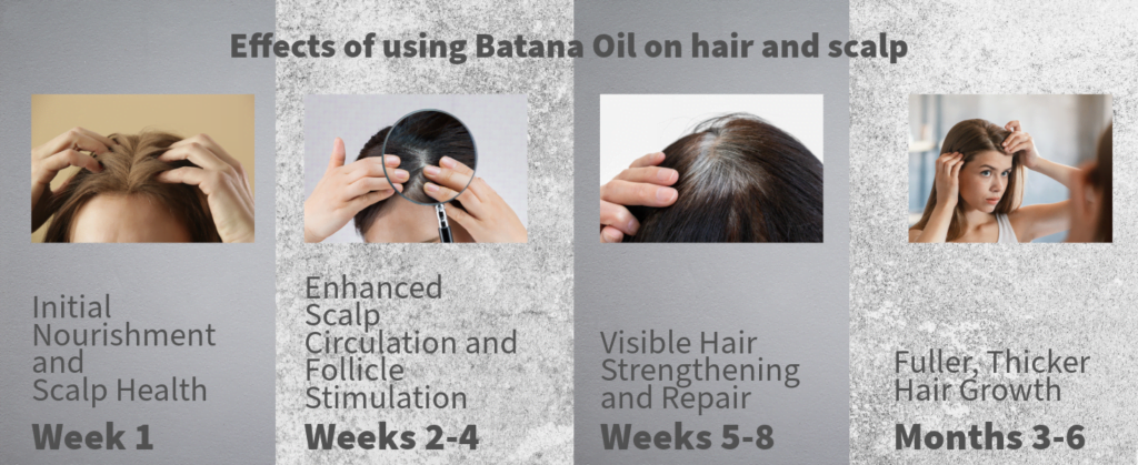 batana oil batana oil for hair batana oil for hair growth batana oil hair growth dr truth batana oil batana oil benefits batana oil near me dr sebi batana oil doctortruth batana oil batana oil dr sebi batana oil for hair loss organic batana oil batana oil dr truth doctor truth batana oil 100 batana oil raw batana oil