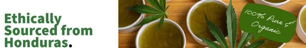 batana oil batana oil for hair batana oil for hair growth batana oil hair growth dr truth batana oil batana oil benefits batana oil near me dr sebi batana oil doctortruth batana oil batana oil dr sebi batana oil for hair loss organic batana oil batana oil dr truth